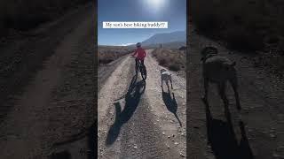 My son's favorite biking buddy 