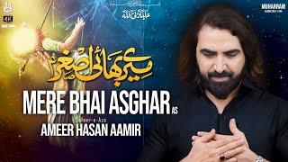 Noha 2024 | Mere Bhai Asghar | Ameer Hasan Aamir Nohay 2024 | Noha Hazrat Ali Asghar (a.s)