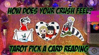 How Does Your Crush Feel? How Are They Viewing You? Tarot Pick a Card Love Reading