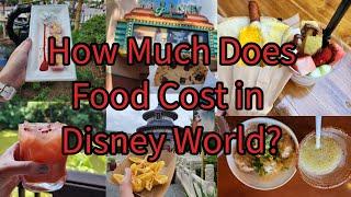 How Much Does Food REALLY Cost in Disney World? Food & Alcoholic Beverage Costs for 1 Adult May 2024