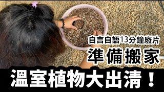 準備搬家～溫室植物大出清！今天沒有科普喔～我又在自言自語了XD #溫室 #多肉植物 #仙人掌