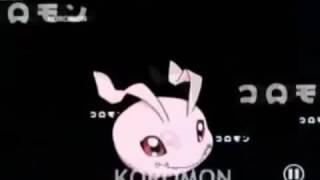 Digimon 1 Alle Digitationen