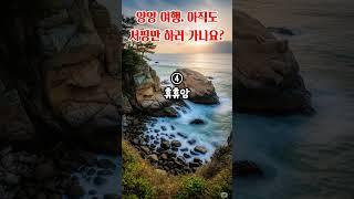 양양 아직도 서핑만하러 가시나요