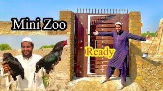 Mini Zoo Ready  Aseel Birds Bhi Ready