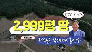 [정선임계부동산매물]  강원도 정선군 임계면 봉산리  / 총 2,999평 / 매매가 평당 8만원