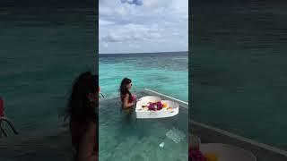 Floating breakfast in Maldives. #shorts #maldives