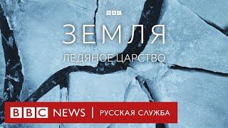 Земля | Ледяное царство | Серия 2/5 | Документальный фильм Би-би-си