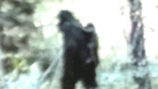 The Clearest Bigfoot Sightings Ever Caught On Camera