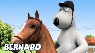 Bernard Bear | Dressage AND MORE | Cartoons for Children | Full Episodes