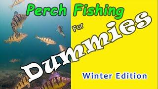 Perch Fishing For Dummies - Winter Edition