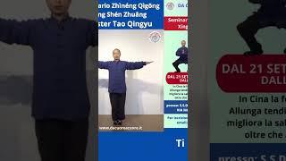 Zhineng Qigong - Xíng Shén Zhuāng - Tong Bi #zhinengqigong #xingshenzhuang