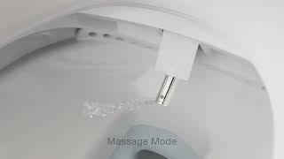 Purewash Electronic Bidet by Kohler