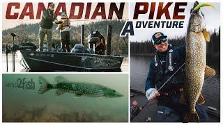 High Tech Canadian Pike Fishing Adventure