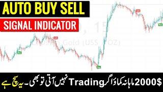 Auto Buy Sell Signal Indicator in Tradingview  Best Tradingview Indicators