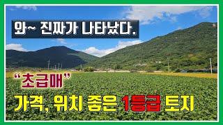 밀양 토지 매매-매물948번("초급매"  와~ 진짜가 나타났다. 가격 좋고 위치 좋은 1등급 토지)