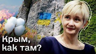  Крымчане радуются каждому "хлопку" и НЕ БОЯТСЯ заявлять о проукраинской позиции!