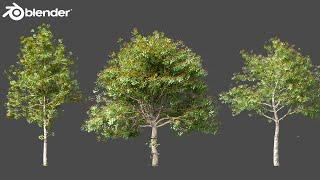 How to Create Realistic Trees in Blender