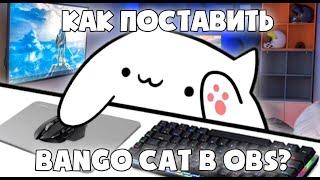 BONGO CAT CAM // КАК ПОСТАВИТЬ В OBS, DISCORD, SKYPE?