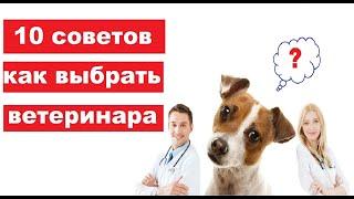 Хороший ветеринар. Как выбрать ветврача?