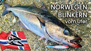 Blinkern vom Ufer in Norwegen - Spoon Fishing on Shore in Norway