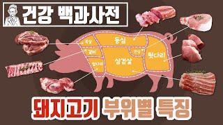 삼겹살, 목살만 돼지고기가 아니다!  돼지고기 부위별 특징에 대해 알아보자 @세모지