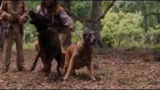 Django Unchained -Dog Scene