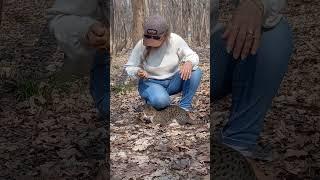 نازش میکردم... یهو گازم گرفت! | لحظه‌های بامزه با گربه‌ها  گربه بامزه, گاز گرفتن گربه،غزل مهدوی تبار