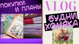 VLOG: Будни колориста 33 - покупки и планы/Раскраски антистресс