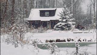 COZY Cabin Christmas: The Old Fashioned Way