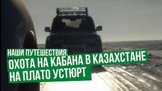 Наши путешествия. Охота на кабана в Казахстане на плато Устюрт