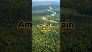 Amazon rain Forest fact 3 #science #facts #universe #interestingfacts