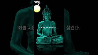 "구더기가 우글거리는"  (매일 아침 6시에 업로드 됩니다.) / 아침을 여는 '숫타니파타' 한 구절 - 672  #shorts