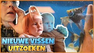 ONZE HAAiEN MOETEN WEG + NiEUWE ViSSEN KOPEN! | Bellinga Vlog #2660