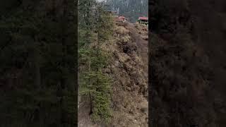 haryanvi in Manali  #tosh #manali #kasol ️ #travel #sukoon