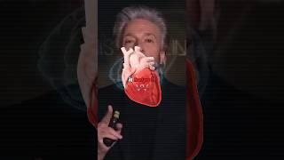 Achieving The 0.1 Hz Brain Coherence - Gregg Braden