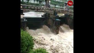 Kerala rains: Heavy showers and gusty winds batter parts of state