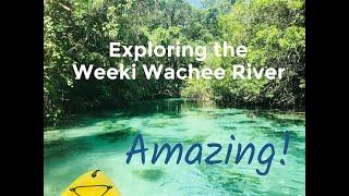 Exploring the Amazing Weeki Wachee River