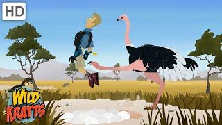 Ostriches Are Very Powerful Birds! | Martin Gets Kicked by an Ostrich | Wild Kratts