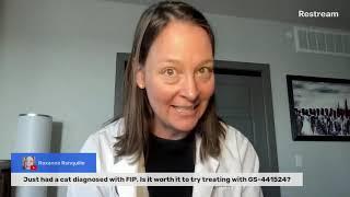 If a cat is diagnosed with FIP, is it worth it to try treating with GS-441524? (A Vet Explains)