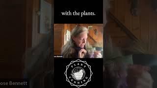 White Pine with Robin Rose Bennett #podcastclips  #greenwitch  #greenmagic #herbalism