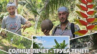 Тропический квест: ищем порыв на трубе