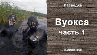 Вуокса. Подводная охота в Ленинградской области. Гидрокостюмы HAMMERFISH