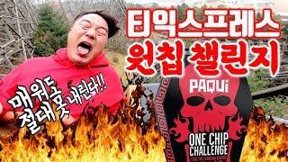 [원칩 챌린지] 에버랜드 티익스프레스 타면서 파퀴칩스 먹방 도전! 매워도 못 내린다 ONE CHIP CHALLANGE WITH RIDING ROLLER COASTER