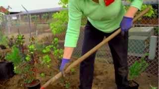 Master Gardener Course Testimonial