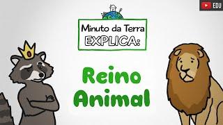 Minuto da Terra Explica: Comportamento Animal