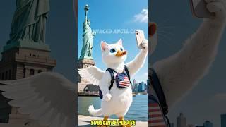 ️ Angel Cat Travels America!  #shorts #cat #angelcat #catshorts