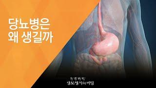 당뇨병은 왜 생길까 - (20150520_545회 방송)_신맛의 비밀