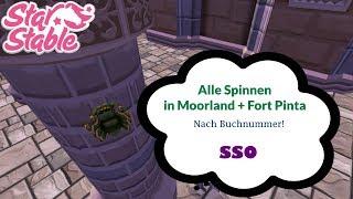 Alle Spinnen in Moorland + Fort Pinta (nach Reihenfolge im Buch) | Star Stable Online [SSO]