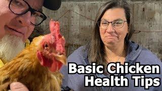 Basic Chicken Health Tips