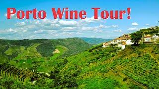 Porto, Portugal Wine Tour Down the Douro River | Douro Valley is SO BEAUTIFUL, But Worth It?